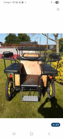 Caleche wagonette wolf 6 places