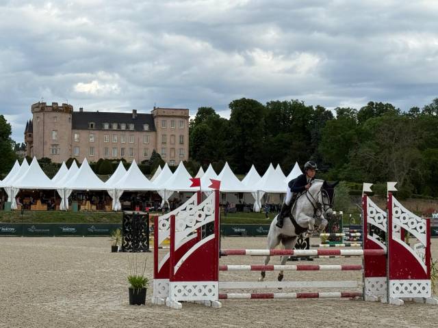 Poney CSO &agrave; vendre 
