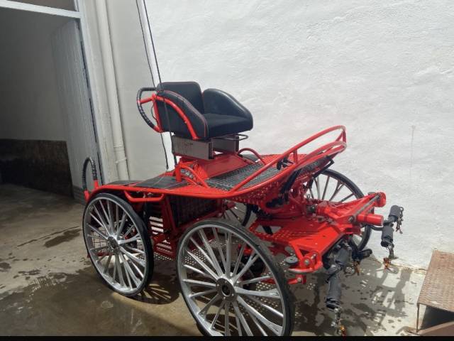 Voiture de marathon pour 2 chevaux tr&egrave;s Bon &eacute;tat 