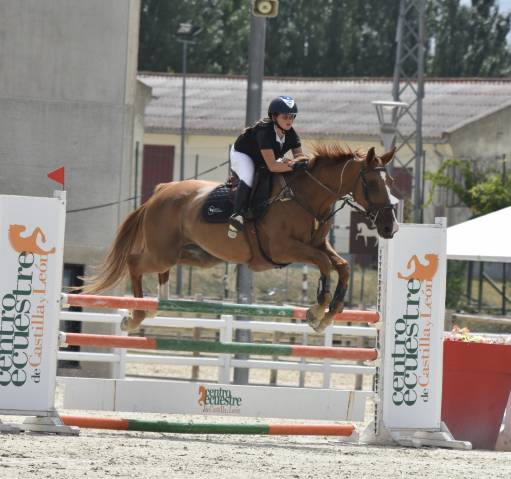 Jument CDE Caballo Deporte Espanol A vendre 2014 Alezan