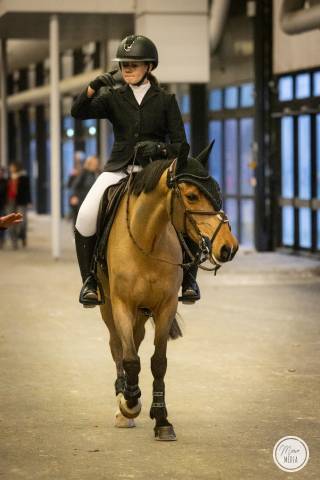 Excellent Poney de Grand prix &agrave; vendre 