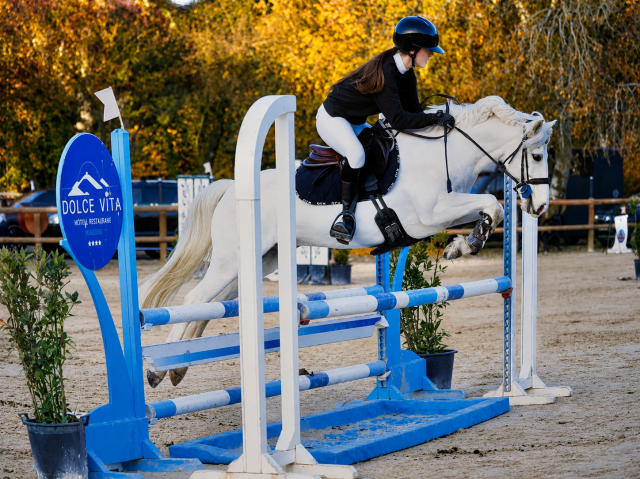 Hongre - PFS - 9 ans - CCE /CSO/ Polyvalent - France