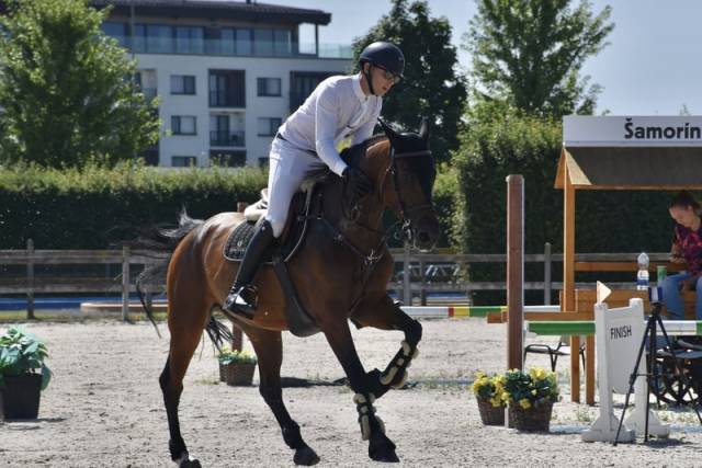 Jument Holsteiner A vendre 2018 Bai par Comme il faut
