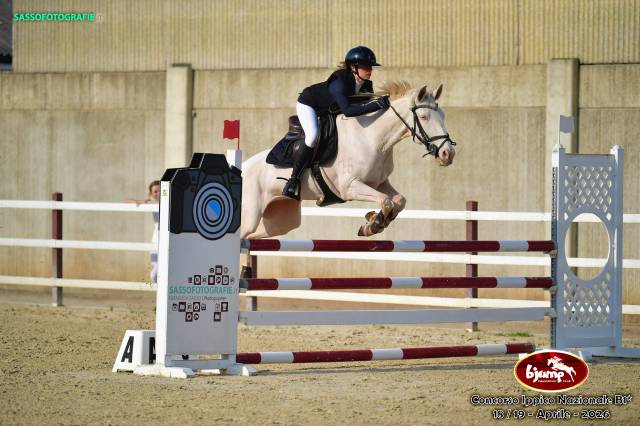 Jument Lusitanien A vendre 2016 Cremello