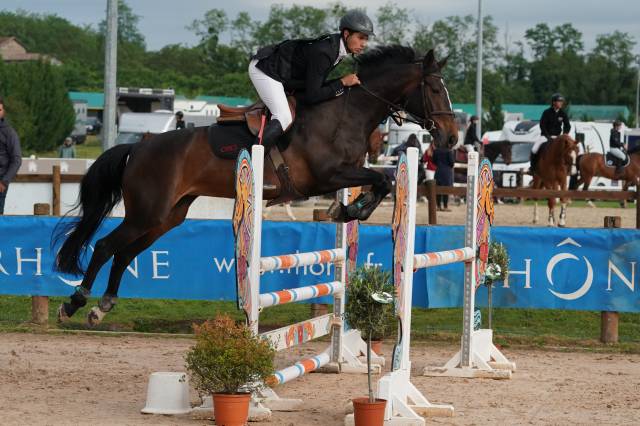 Jument de CSO de 9 ans