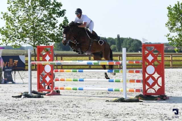 CSO : Le saut d'obstacles - Royal Horse