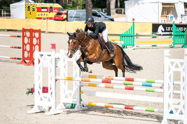 Hongre Selle Français 10 ans  CSO amateur 1et Hunter 1 