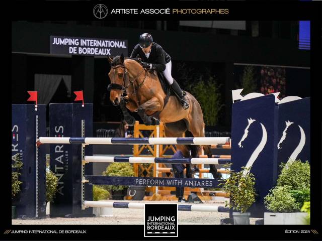 JUMENT CSO 11ANS prix en baisse+++