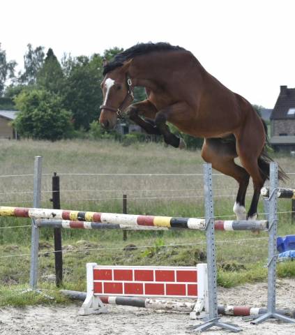 Sublime jeune 3 Y sport 