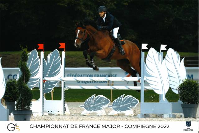 Beau cheval de CSO -  11 ans - élevage de Belheme