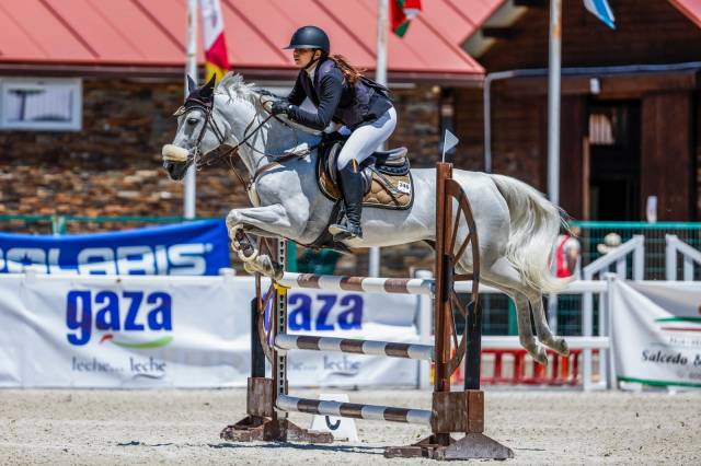 Jument Autre Race de Poney A vendre 2010 Gris