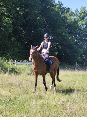 Jolie pouliche de 4 ans par Fibonacci de Lessac 