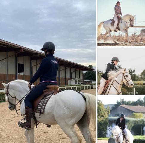 A vendre camargue PP DE 2015 