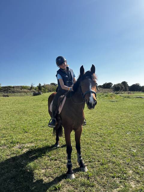 Ponette New Forest PP 