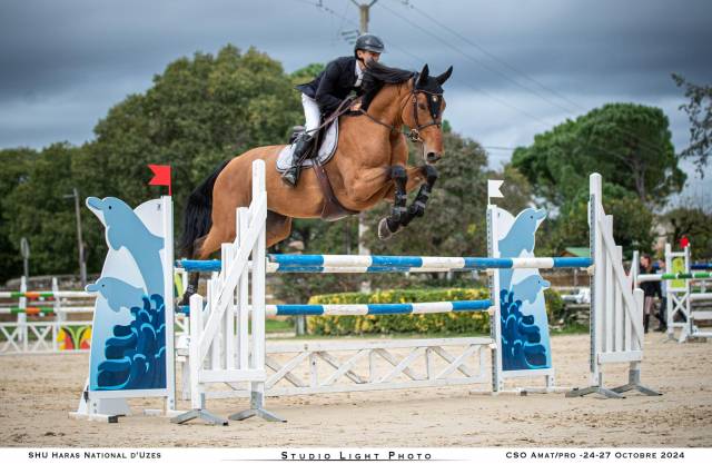 Magnifique Jument 9 ans 