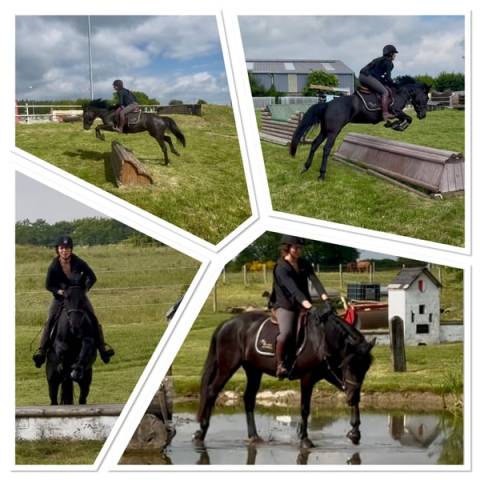Ponette de sport taille D 5 ans – Le talent polyvalent!