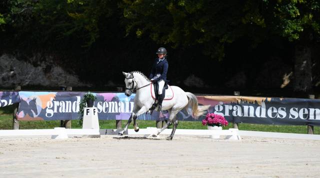 Jument Connemara 7 ans 