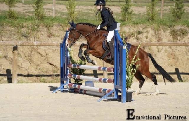 ponette de sport 