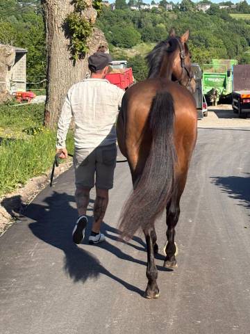 Belle opportunité à saisir 