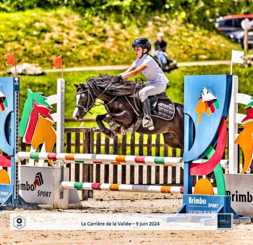 Diana Ross - Welsh A - 6 ans - IPO 126 - 120cm