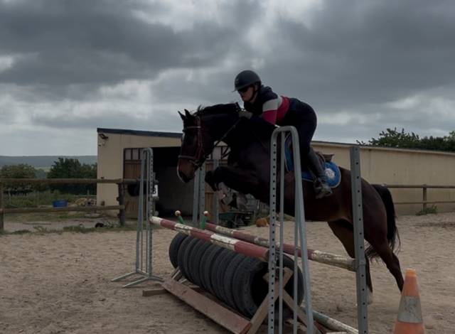 Poney hors côtes 5 ans 