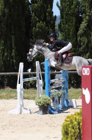 Poney de 8 ans avec toise FEI