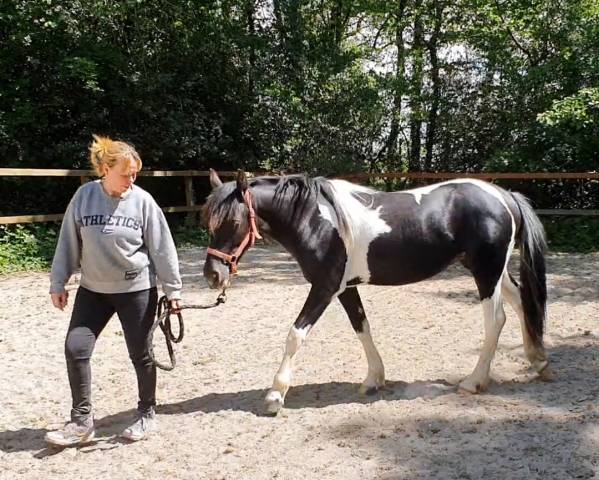 Pouliche OC 2 ANS 
