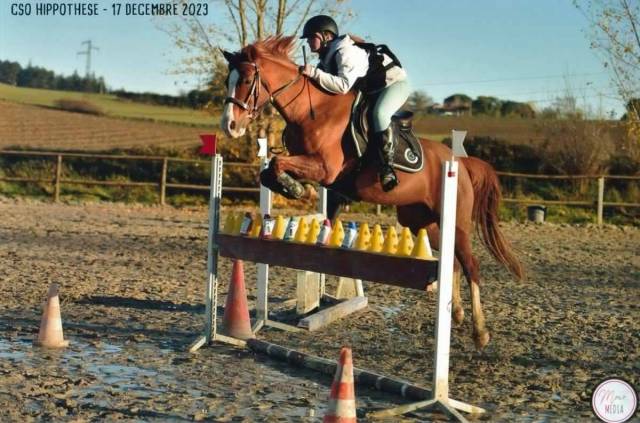 Polka de Lodes Poney D 