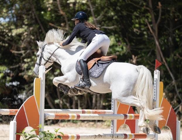 Poney performant AS2