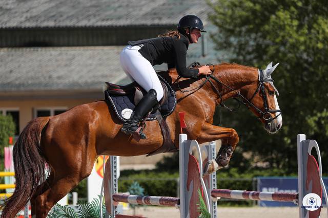 Hongre gagnant en 6 ans classique 