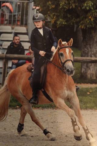 Poney rustique et sport 