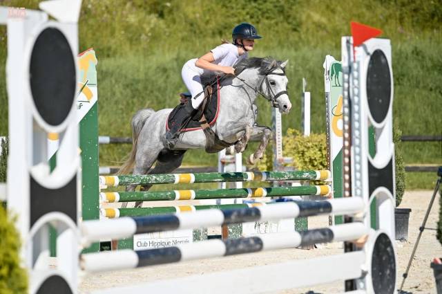 SERIEUSE PONETTE WELSH SECTB - 1M33