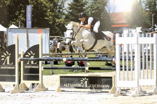 Poney de sport à vendre 