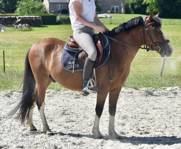 SUPER PONEY