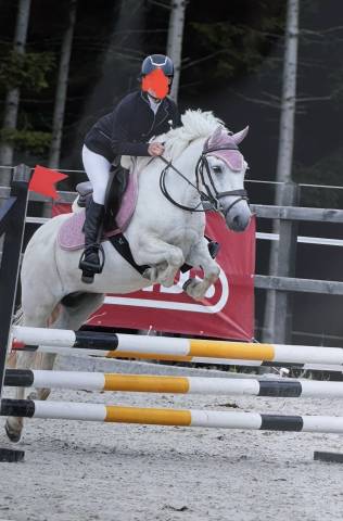 À vendre – Magnifique poney blanc 130 cm