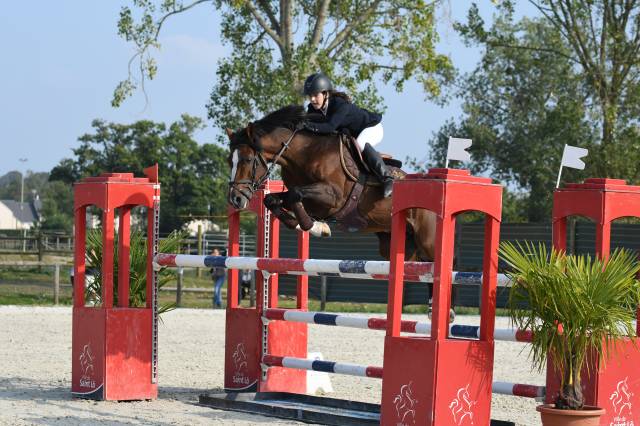  A LOUER  PONEY GAGNANT GRAND PRIX