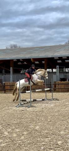Cheval &agrave; vendre 