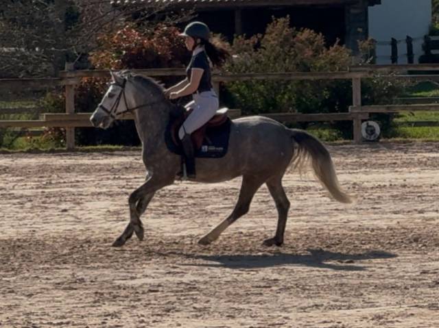 Ponette 5 ans CSO 95 cm 