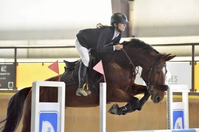 Jument KWPN Cheval de Sport N&eacute;erlandais A vendre 2015 Bai