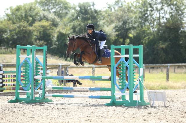 Jument Welsh Part Bred A vendre 2020 Bai