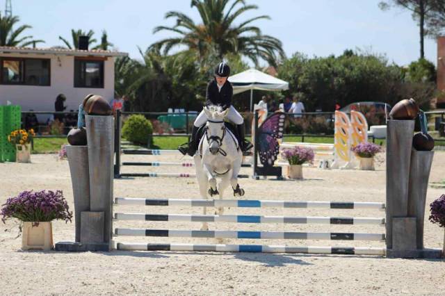 Jument Connemara A vendre 2009 Gris par Oxhill Mairtin