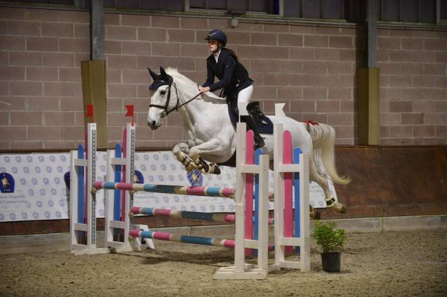 Jument Cheval de Selle Italien A vendre 2012 Gris