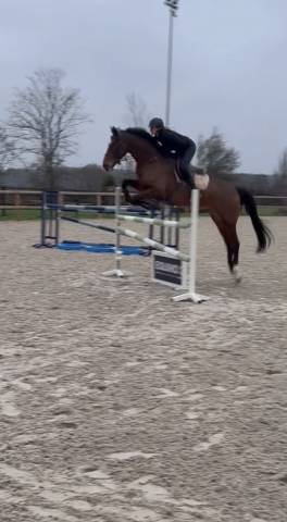 Kap&rsquo;Vert &ndash; SF 6ans &ndash; CSO (cycle libre) Potentiel Sport 