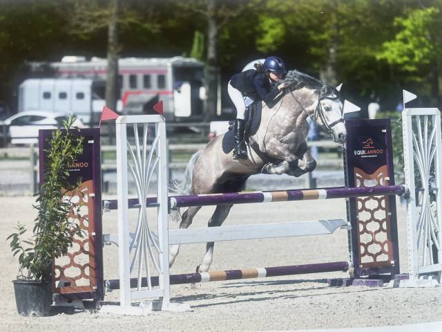 Poney Connemara &agrave; vendre 