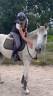 <img alt='Zoom image' src='images/b_search.png'><b>&nbsp;Cliquez pour zoomer</b>