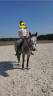 <img alt='Zoom image' src='images/b_search.png'><b>&nbsp;Cliquez pour zoomer</b>