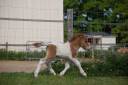 <img alt='Zoom image' src='images/b_search.png'><b>&nbsp;Cliquez pour zoomer</b>