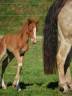 <img alt='Zoom image' src='images/b_search.png'><b>&nbsp;Cliquez pour zoomer</b>