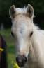 <img alt='Zoom image' src='images/b_search.png'><b>&nbsp;Cliquez pour zoomer</b>