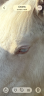 <img alt='Zoom image' src='images/b_search.png'><b>&nbsp;Cliquez pour zoomer</b>